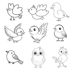 Black and white child bird 21