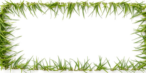 Green grass border isolated on a white background, a banner with a copy space area in the middle for a spring or summer nature concept