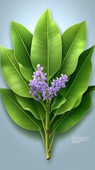 Tropical Plant Illustration
