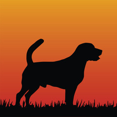 Silhouette of a dog at sunset