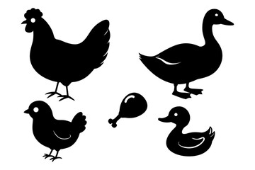 Set of black Chicken, hen and Duck silhouettes. Vector elements for design. 