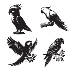 Parrot Silhouette Vector | Clean Tropical Bird Illustration Isolated on White Background