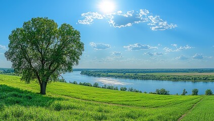 Lush green fields meet a serene river under a bright blue sky.