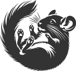 chinchilla rodent artwork vector