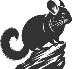 chinchilla rodent artwork vector