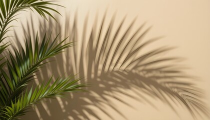 Obraz premium Palm Leaf Shadows on Beige Background for Minimal Natural Aesthetic