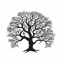 Carrotwood Tree Silhouette for Brochures