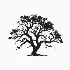 Carrotwood Tree Silhouette for Digital Art
