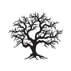 Carrotwood Tree Silhouette for Print Use