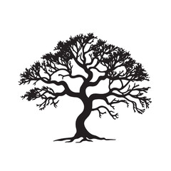 Carrotwood Tree Silhouette for Tropical Projects