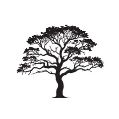 Carrotwood Tree Silhouette for Web Graphics