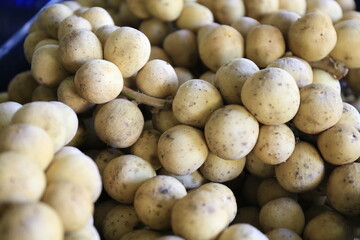 Longkong, a fruit from Thailand