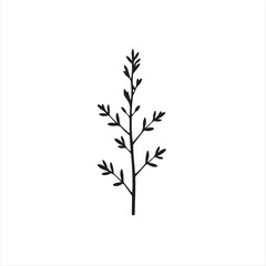 Fototapeta premium Elegant and timeless, this modern flat design utilizes a classic black and white vector style. A simple, two-dimensional rosemary silhouette is featured against a pure white background