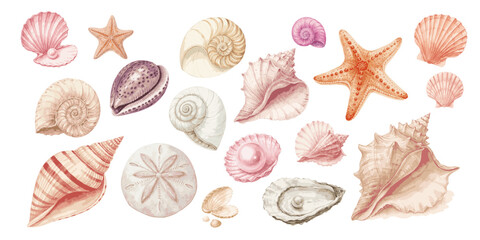 Watercolor seashell collection featuring starfish and various sea shells for beach themed designs and summer art