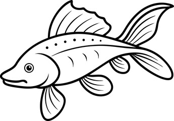 fish on a white background