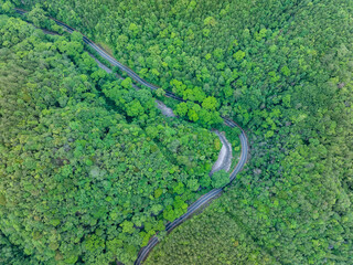 aerial view of the road in the forest