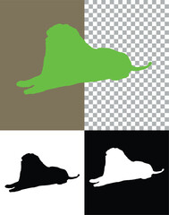 Black lion Silhouette  Black Silhouette of a lion