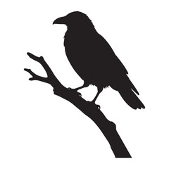 Crow silhouette on a bare branch illustration on white background.