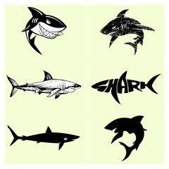 Shark Vector File - 4