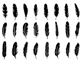 set of feathers