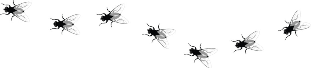 Fly insect icon in line design. Fly, insect, wings, pest, bug,.eps