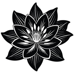 AdobCinquefoil flower, potentilla erecta, bloodroot vector hand drawn colorful illustration isolated on white background, ink sketch, decorative herbal doodle, medical herbs for de Illustrator Artwork