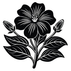 Adobe IllustratoHand Drawn Ink Doodle Of A Flower On A Transparent Backgroundr Artwork