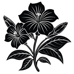 Adobe IllustratoHand Drawn Ink Doodle Of A Flower On A Transparent Backgroundr Artwork