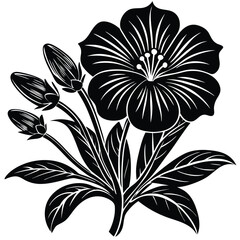 Adobe IllustratoHand Drawn Ink Doodle Of A Flower On A Transparent Backgroundr Artwork