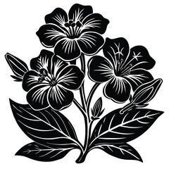 Adobe IllustratoHand Drawn Ink Doodle Of A Flower On A Transparent Backgroundr Artwork