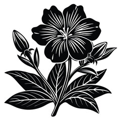 Adobe IllustratoHand Drawn Ink Doodle Of A Flower On A Transparent Backgroundr Artwork