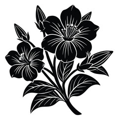 Adobe IllustratoHand Drawn Ink Doodle Of A Flower On A Transparent Backgroundr Artwork