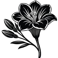 Adobe Illustrator Beautiful pink flower on black background with reflectionArtwork