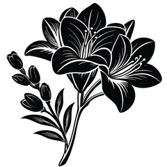 Adobe Illustrator Beautiful pink flower on black background with reflectionArtwork