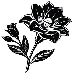 Adobe Illustrator Beautiful pink flower on black background with reflectionArtwork