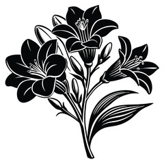 Adobe Illustrator Beautiful pink flower on black background with reflectionArtwork