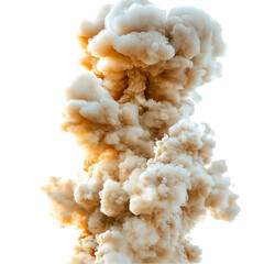 White fluffy poodle puppy with curly soft fur coat PNG On Transparent Background