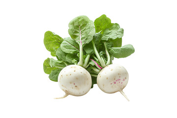 Two fresh white turnips with lush green leaves and visible pink stem accents, isolated on a transparent background