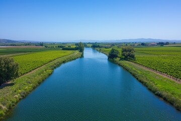 Fototapeta premium Expansive waterway winding through verdant farmland.