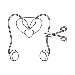 Vasectomy illustratrion