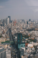 Fototapeta premium Distant View of the Iconic Tokyo Tower