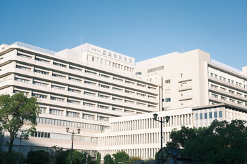 A Classic Example of Japanese Architecture