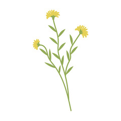 coquette yellow Floral Groupings. yellow flower