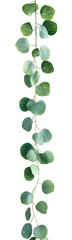 Vertical garland of eucalyptus leaves.  A string of round, light to medium green leaves hangs vertically against a white background.  The leaves are attached to a thin light beige stem/vine