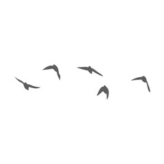 Flying birds silhouettes. Vector illustration 