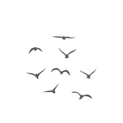 Flying birds silhouettes. Vector illustration 