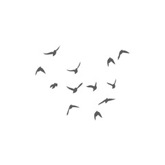 Flying birds silhouettes. Vector illustration 