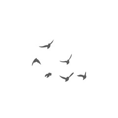 Flying birds silhouettes. Vector illustration 