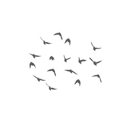 Flying birds silhouettes. Vector illustration 