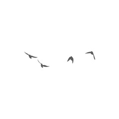 Flying birds silhouettes. Vector illustration 